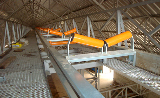 Cintas Transportadora de Grano